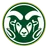 Colorado State